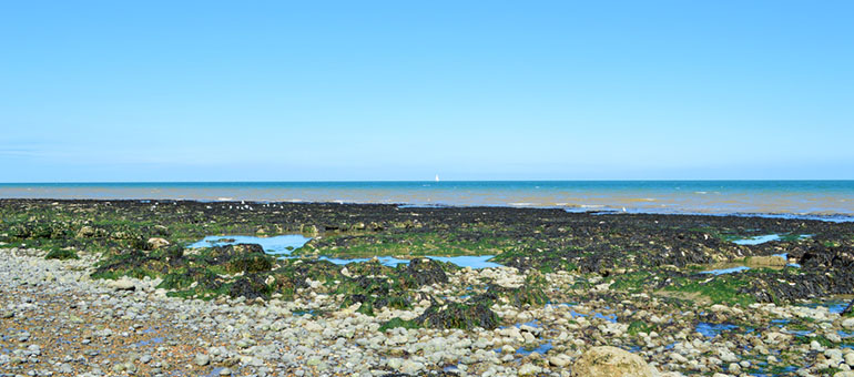 Steine an der Küste von Dover